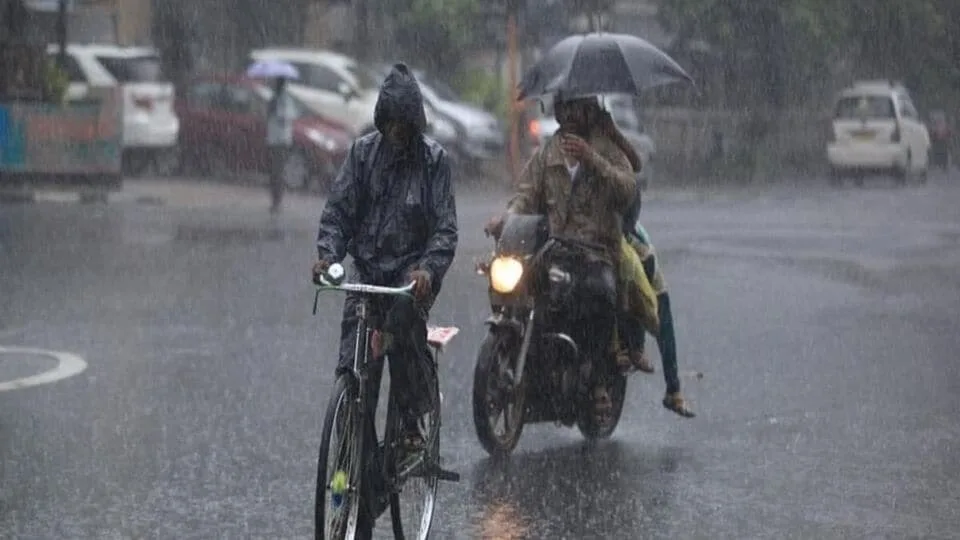 Rain Update: அடுத்த 3 மணி நேரத்திற்கு மழைதான்.. எந்த மாவட்ட பள்ளிக்கு விடுமுறை தெரியுமா!