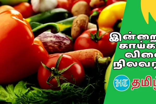 Vegetables Today Price: ‘கத்தரிக்காய் முதல் வாழைப்பூ வரை’ இன்றைய காய்கறிகள் விலை நிலவரம் இதோ!