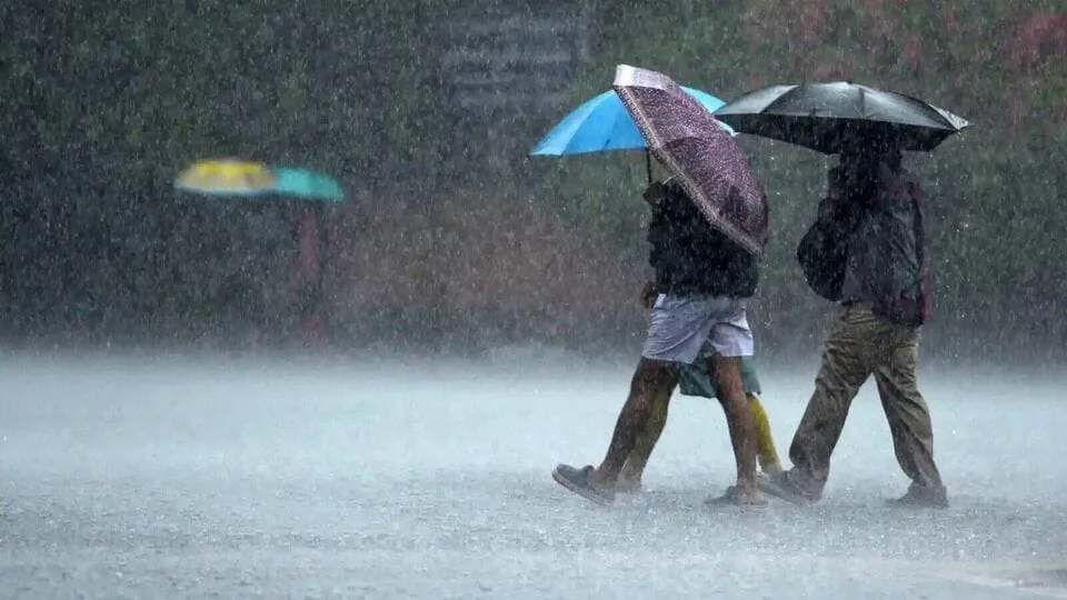 Weather Update: ஜாலிதான் குட்டீஸ்.. 'வெளுத்து வாங்கும் மழை' பள்ளிகளுக்கு விடுமுறை.. எங்க தெரியுமா?