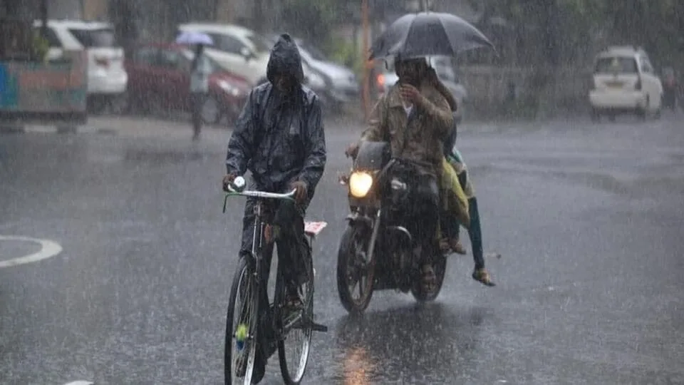 Weather Update: 'நாளை தொடங்கும் வடகிழக்கு பருவமழை' அடுத்த 6 நாட்கள் வெளிய போனா குடையை மறக்காதீங்க மக்களே!