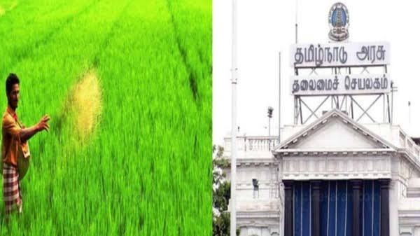 Woww…! தமிழக அரசு சார்பில் 20 கிலோ வரை அரசு மானியத்தில் பாரம்பரிய விதை நெல்…! விவசாயிகளுக்கு சூப்பர் அறிவிப்பு…!