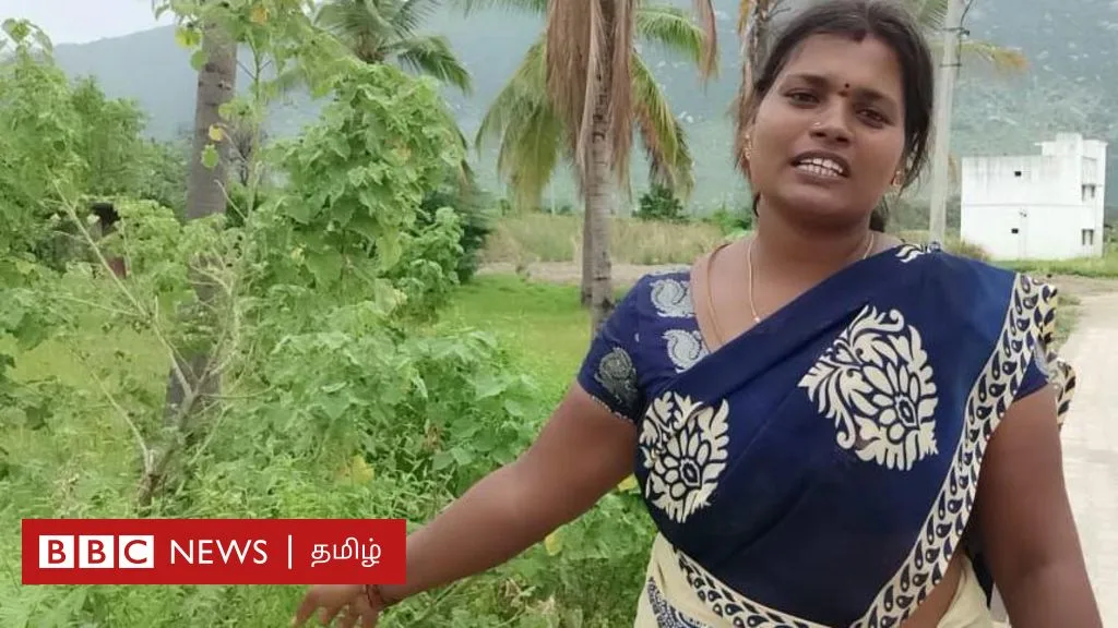 பூனைவால் கோரைப் புல்: தமிழ்நாட்டில் பாய் தயாரிக்க உதவும் இந்தப் புல் விவசாயத்தை அழிப்பது எப்படி?