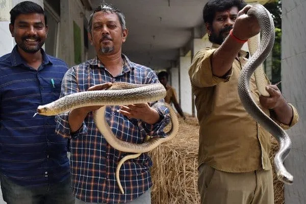 Go... Go! W.C., Creatures from the Park; Servants sent with heavy hearts   வ.உ.சி., பூங்காவில் இருந்து உயிரினங்கள்; கனத்த இதயத்துடன் அனுப்பிய ஊழியர்கள்