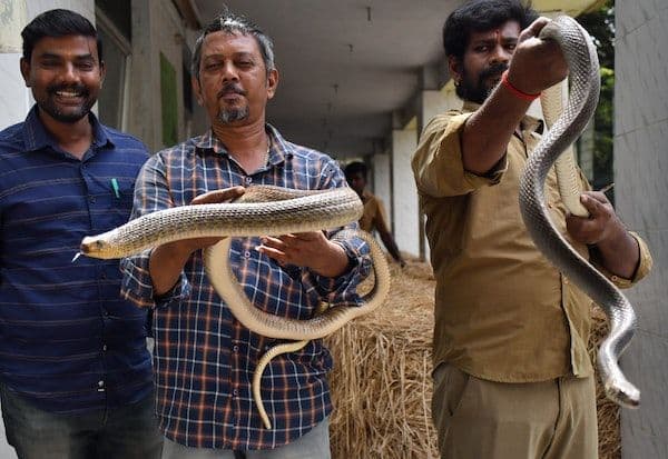 Go... Go! W.C., Creatures from the Park; Servants sent with heavy hearts   வ.உ.சி., பூங்காவில் இருந்து உயிரினங்கள்; கனத்த இதயத்துடன் அனுப்பிய ஊழியர்கள்