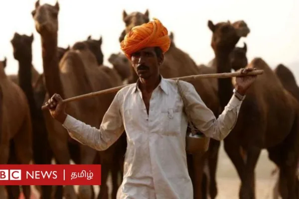 வட மாநிலங்கள் தமிழ்நாட்டை பின்பற்றுகின்றனவா? இட ஒதுக்கீடு உச்ச வரம்பை பிகார், ராஜஸ்தான் அதிகரிப்பது ஏன்?