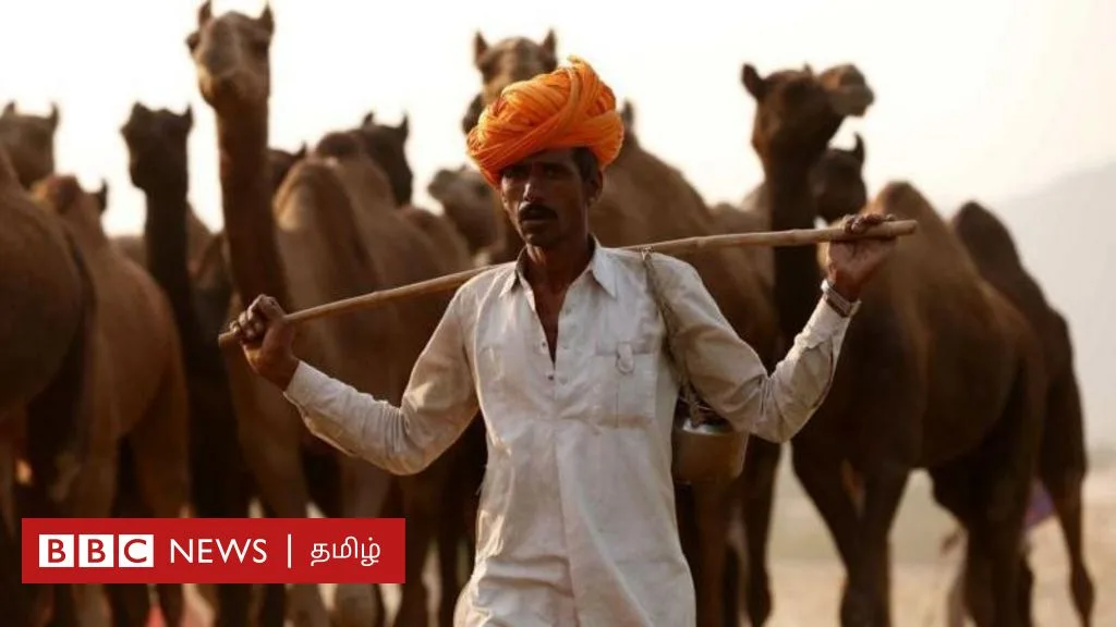 வட மாநிலங்கள் தமிழ்நாட்டை பின்பற்றுகின்றனவா? இட ஒதுக்கீடு உச்ச வரம்பை பிகார், ராஜஸ்தான் அதிகரிப்பது ஏன்?