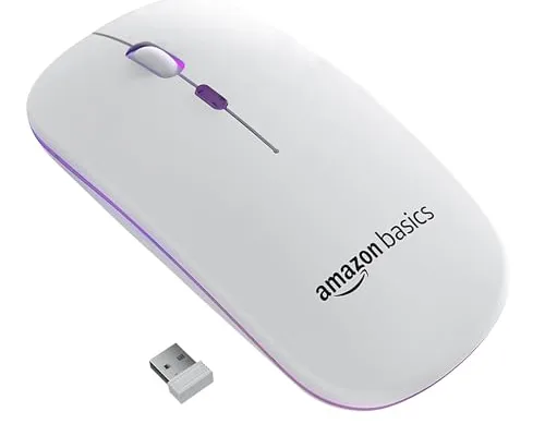 mouse