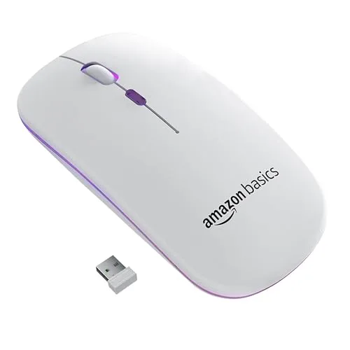 mouse