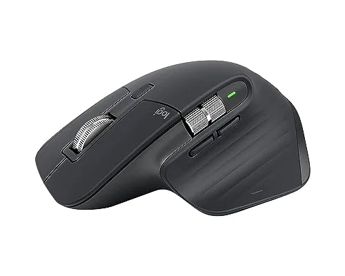 mouse