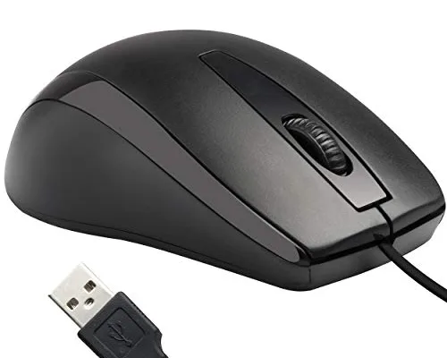mouse