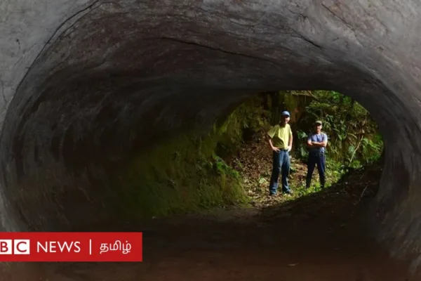 இயற்கை மர்மம்: 10,000 ஆண்டுகளுக்கு முன் ராட்சதக் கரடிகள் கூரிய நகங்களால் பாறையைக் குடைந்து சுரங்கப் பாதைகளை உருவாக்கியது எப்படி?