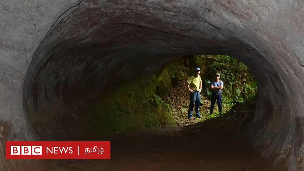 இயற்கை மர்மம்: 10,000 ஆண்டுகளுக்கு முன் ராட்சதக் கரடிகள் கூரிய நகங்களால் பாறையைக் குடைந்து சுரங்கப் பாதைகளை உருவாக்கியது எப்படி?