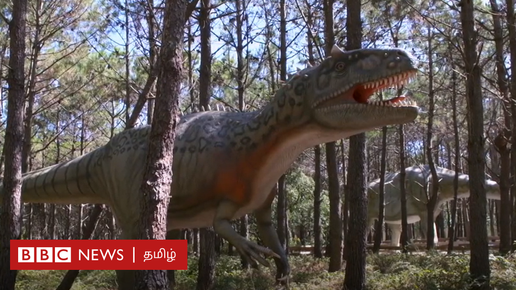 ஆயிரம் கிலோ டைனோசர் முட்டைக்கூடு கண்டுபிடிப்பு - கருவின் எலும்புகளை கண்டறிய முயற்சி