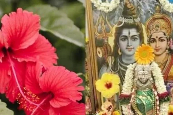 Astro Tips: சிவனை வணங்கும்போது எந்த பொருட்களை கண்டிப்பாக பயன்படுத்த கூடாது தெரியுமா?