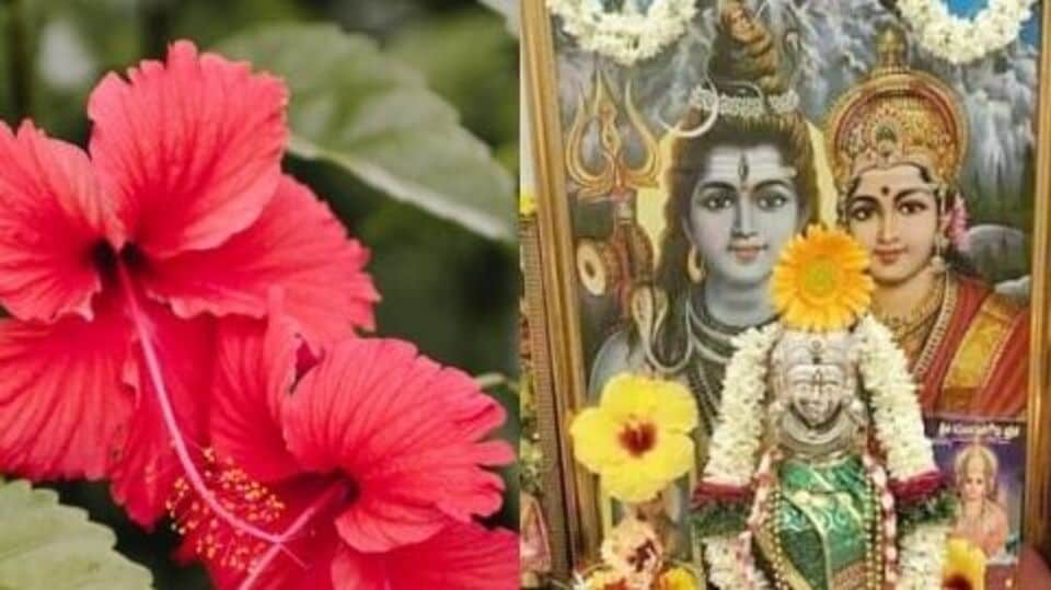 Astro Tips: சிவனை வணங்கும்போது எந்த பொருட்களை கண்டிப்பாக பயன்படுத்த கூடாது தெரியுமா?