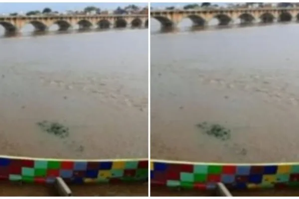 Vaigai: எச்சரிக்கை மக்களே.. வைகை ஆற்றில் யாரும் இறங்க வேண்டாம்!