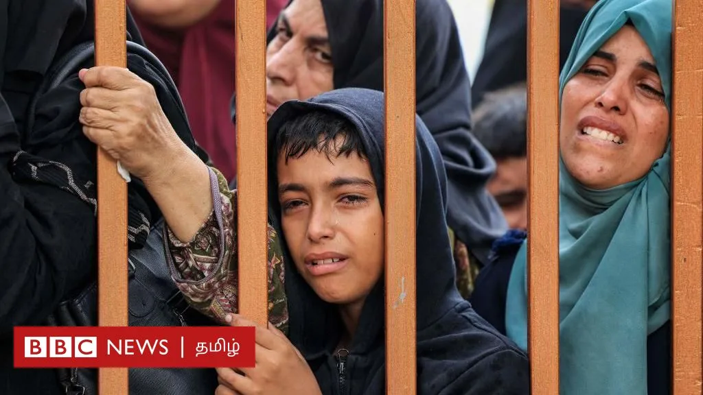 எங்கும் பிணங்கள்; கல்லறையாகும் காஸா மருத்துவமனை - உலக சுகாதார அமைப்பு தரும் அதிர்ச்சித் தகவல் என்ன?