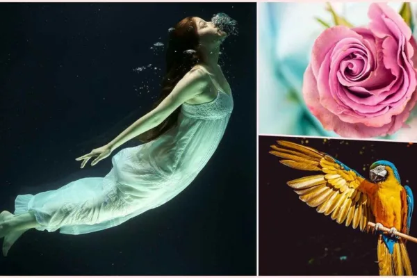 Dream Meaning: இது மட்டும் கனவில் நிகழ்ந்தால் போதும்! உங்களுக்கு அதிர்ஷ்ட மழைதான்