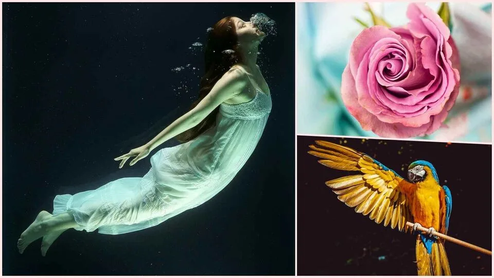 Dream Meaning: இது மட்டும் கனவில் நிகழ்ந்தால் போதும்! உங்களுக்கு அதிர்ஷ்ட மழைதான்