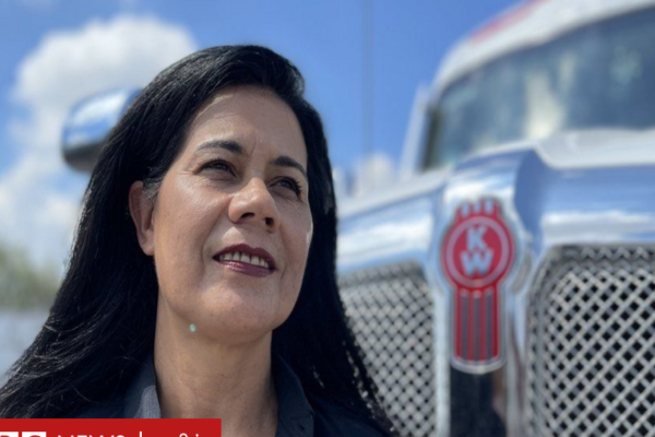 குடும்ப வன்முறையில் இருந்து மீண்ட பெண் ட்ரக் டிரைவர் ஆனது எப்படி?