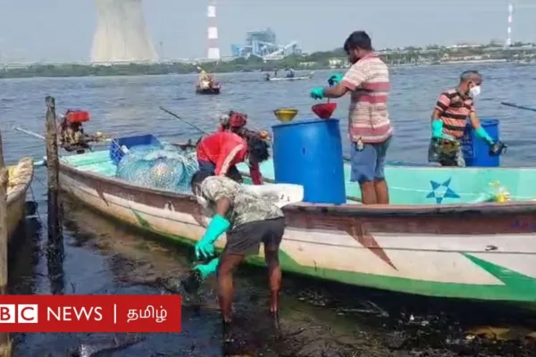 எண்ணூர்: 20 ச.கி.மீ. பரவியுள்ள எண்ணெயை வாளியை கொண்டு அகற்றும் 8 கிராம மீனவர்கள் - பிபிசி கள ஆய்வு