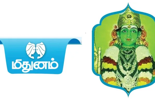 ‘செலவுடன் வளர்ச்சி’ - மிதுனம் ராசியினருக்கான 2024 ஆங்கிலப் புத்தாண்டு  பலன்கள்