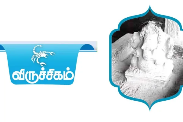 ‘திட்டமிடுதல், சிக்கனம் தேவை’ - விருச்சிகம் ராசியினருக்கான 2024 ஆங்கிலப் புத்தாண்டு பலன்கள் 