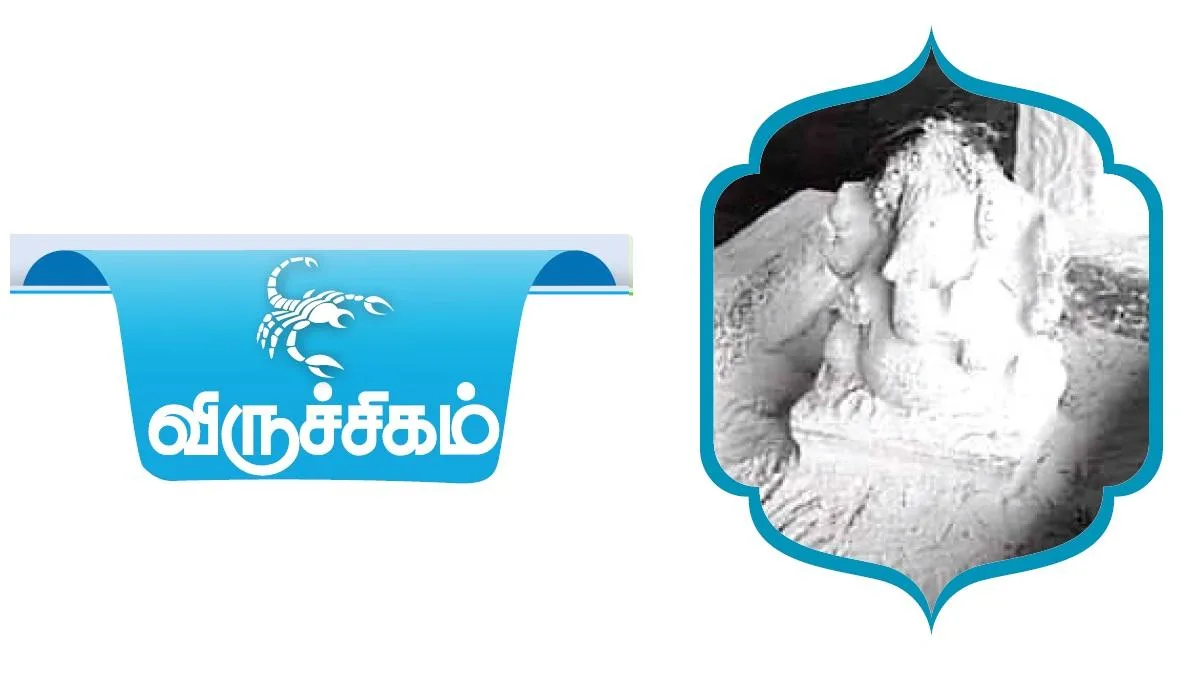 ‘திட்டமிடுதல், சிக்கனம் தேவை’ - விருச்சிகம் ராசியினருக்கான 2024 ஆங்கிலப் புத்தாண்டு பலன்கள் 