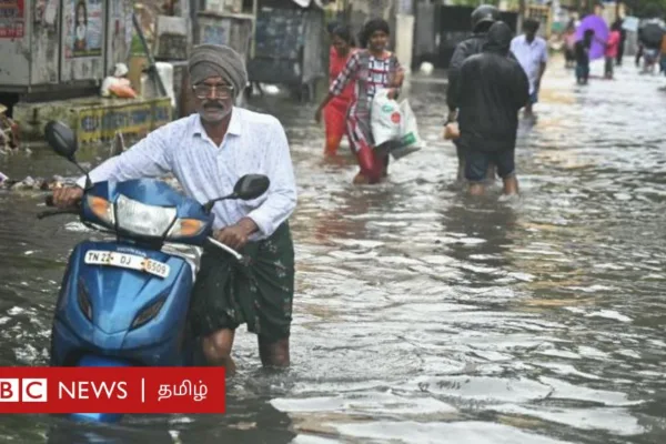 சென்னை வெள்ளம்: மின்சாரம், பூச்சிகள், பாம்புகள், வாகனங்களை கையாளுவது எப்படி? பாதுகாப்பாக இருக்க என்ன செய்ய வேண்டும்?