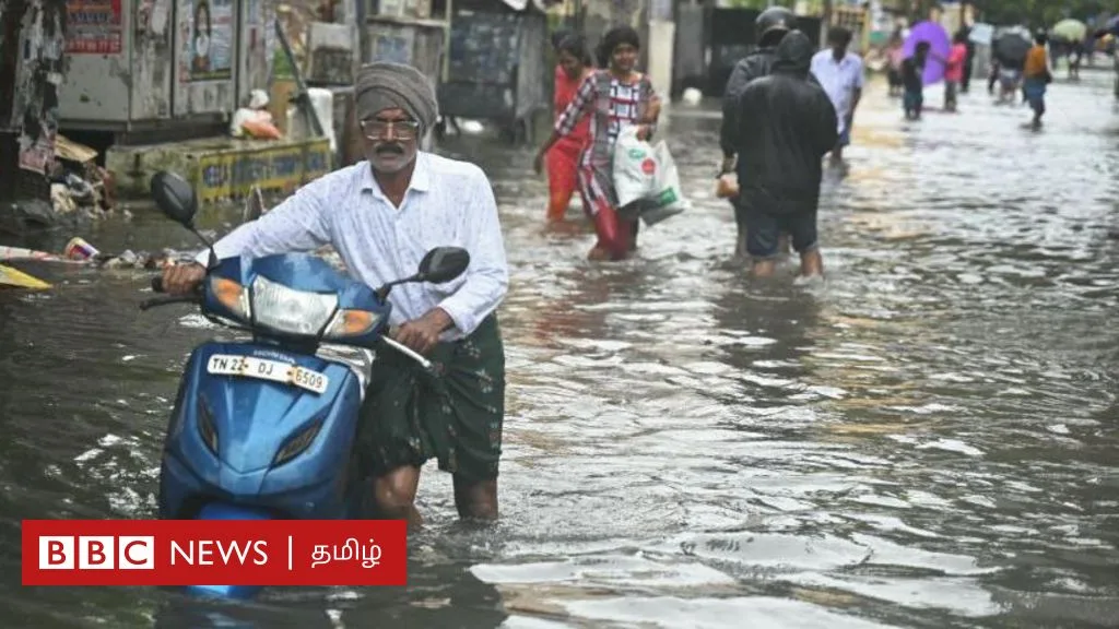 சென்னை வெள்ளம்: மின்சாரம், பூச்சிகள், பாம்புகள், வாகனங்களை கையாளுவது எப்படி? பாதுகாப்பாக இருக்க என்ன செய்ய வேண்டும்?