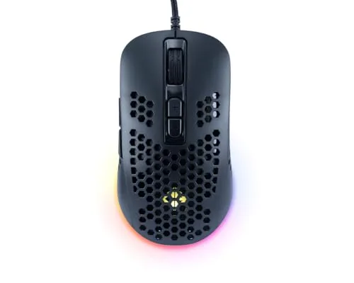 mouse