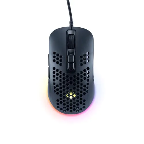 mouse