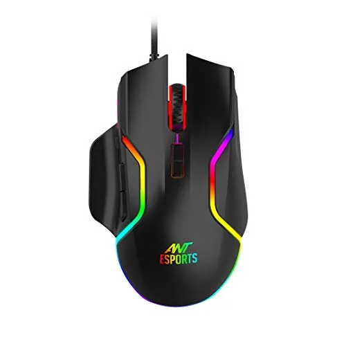 mouse