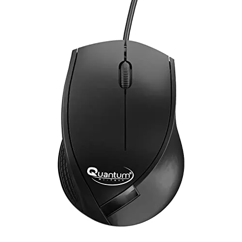 mouse