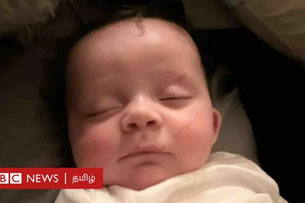 அமெரிக்கா: புயலில் தொட்டிலோடு அடித்துச் செல்லப்பட்ட 4 மாத குழந்தை மரத்தில் தொங்கிய அதிசயம் - என்ன நடந்தது?