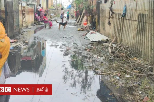 சென்னை எண்ணூரில் எங்கு பார்த்தாலும் எண்ணெய் படலம் - எங்கிருந்து கசிந்தது? பிபிசி கள ஆய்வு