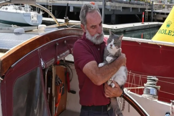 ஆஸ்திரேலியா: படகுப் போட்டியில் வரலாறு படைத்த பூனை - அப்படி என்ன செய்தது?