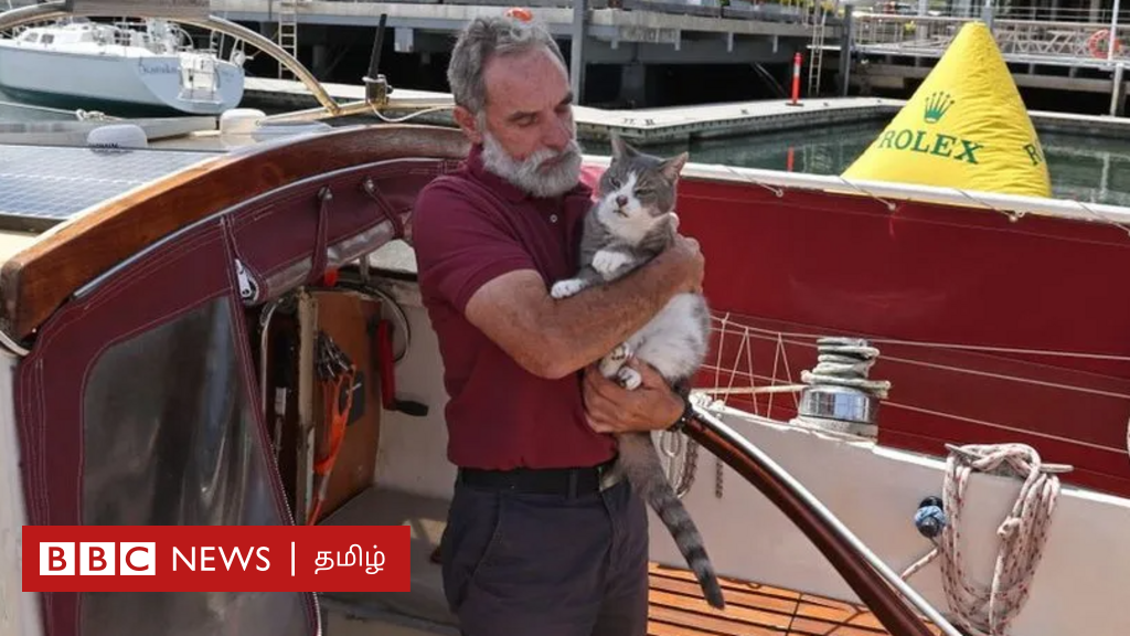 ஆஸ்திரேலியா: படகுப் போட்டியில் வரலாறு படைத்த பூனை - அப்படி என்ன செய்தது?