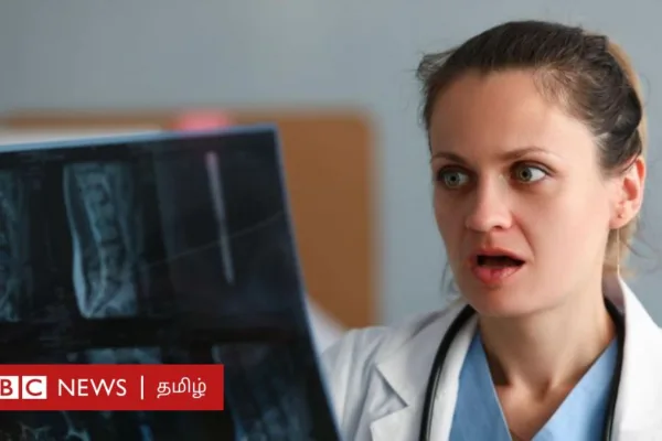 ஈ, சிலந்தியை தவறுதலாக விழுங்கிவிட்டால் உடலுக்குள் என்ன நடக்கும்? ஆய்வாளர்கள் எச்சரிப்பது என்ன?