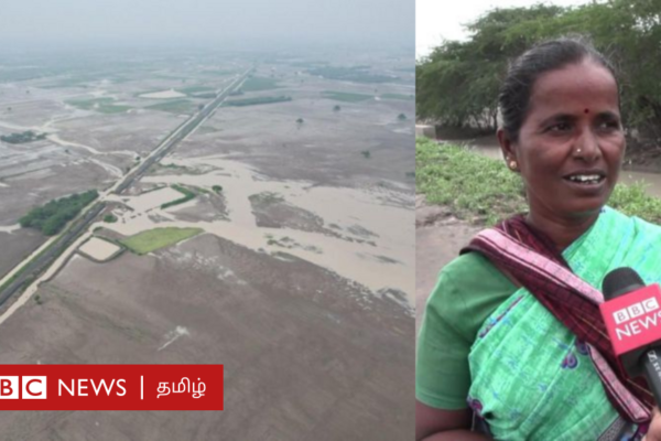 ராமநாதபுரம்: வெள்ளத்தில் மொத்தமாகப் பாழான விவசாய நிலம் - விவசாயிகளின் நிலை என்ன?