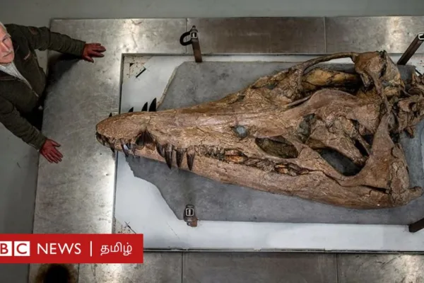 ப்ளியோசர்: 15 கோடி ஆண்டுக்கு முன் வாழ்ந்த கடல் அசுரனின் மண்டை ஓடு கண்டுபிடிக்கப்பட்டது எப்படி? மனிதனைப் போல 50 மடங்கு வேகத்தில் கடிக்கும் திறன் கொண்டது