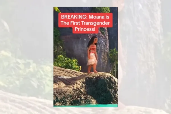 'மோனா' டிஸ்னியின் முதல் திருநங்கை இளவரசி?