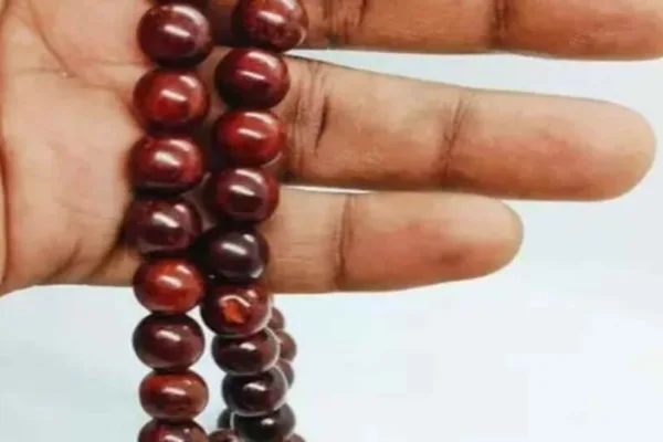 Sengali Malai: பிரபஞ்ச சக்தியை அள்ளிக் கொடுக்கும் செங்காலி மாலை