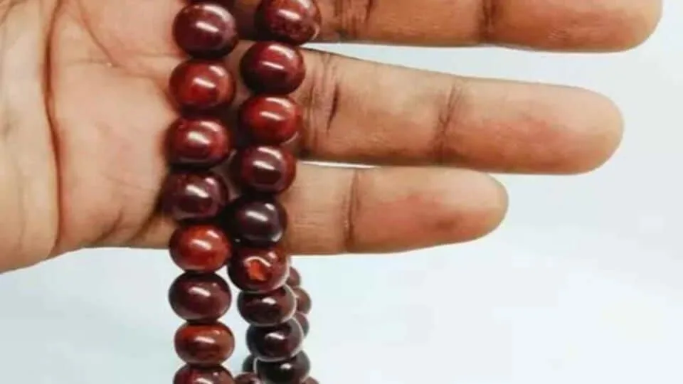 Sengali Malai: பிரபஞ்ச சக்தியை அள்ளிக் கொடுக்கும் செங்காலி மாலை