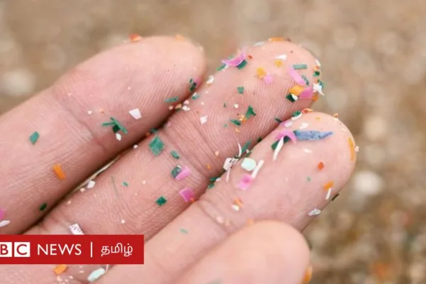 நாம் குடிக்கும் தண்ணீரில் பிளாஸ்டிக் இருப்பது எவ்வளவு ஆபத்தானது?