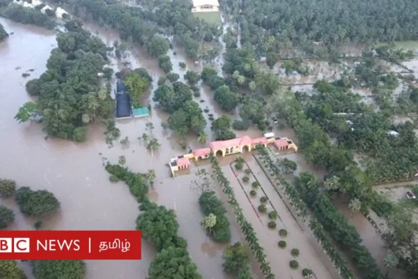 இலங்கை: அம்பாறையை புரட்டிப்போட்ட வெள்ளம்; 1,70,000 மக்கள் பாதிப்பு - நிலவரம் என்ன?