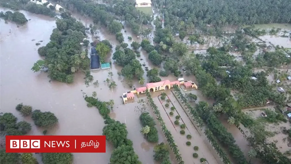 இலங்கை: அம்பாறையை புரட்டிப்போட்ட வெள்ளம்; 1,70,000 மக்கள் பாதிப்பு - நிலவரம் என்ன?