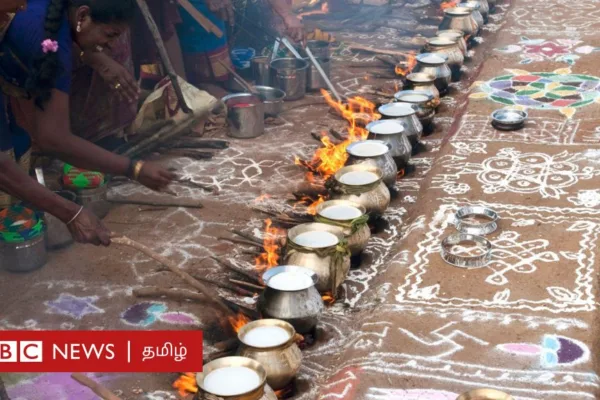 பொங்கல் பண்டிகை வரலாறு: இந்த விழா எப்போது துவங்கியது? சோழர் காலத்தில் பொங்கல் எப்படி கொண்டாடப்பட்டது?