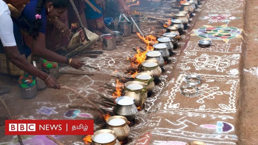 பொங்கல் பண்டிகை வரலாறு: இந்த விழா எப்போது துவங்கியது? சோழர் காலத்தில் பொங்கல் எப்படி கொண்டாடப்பட்டது?