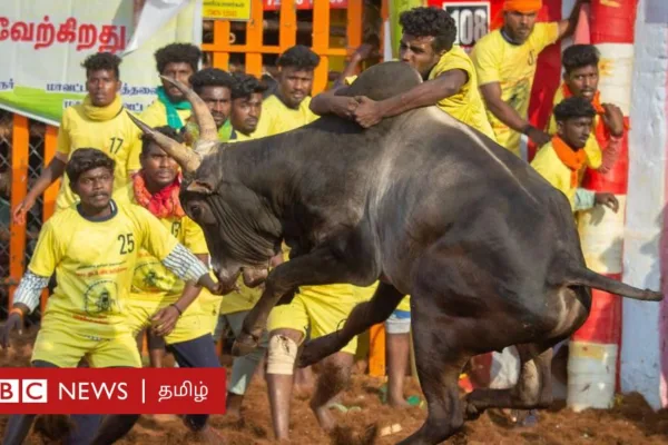 அவனியாபுரம்: ஆண்டின் முதல் ஜல்லிக்கட்டு தொடங்கியது - இந்தாண்டு புதிய மாற்றங்கள் என்ன தெரியுமா?